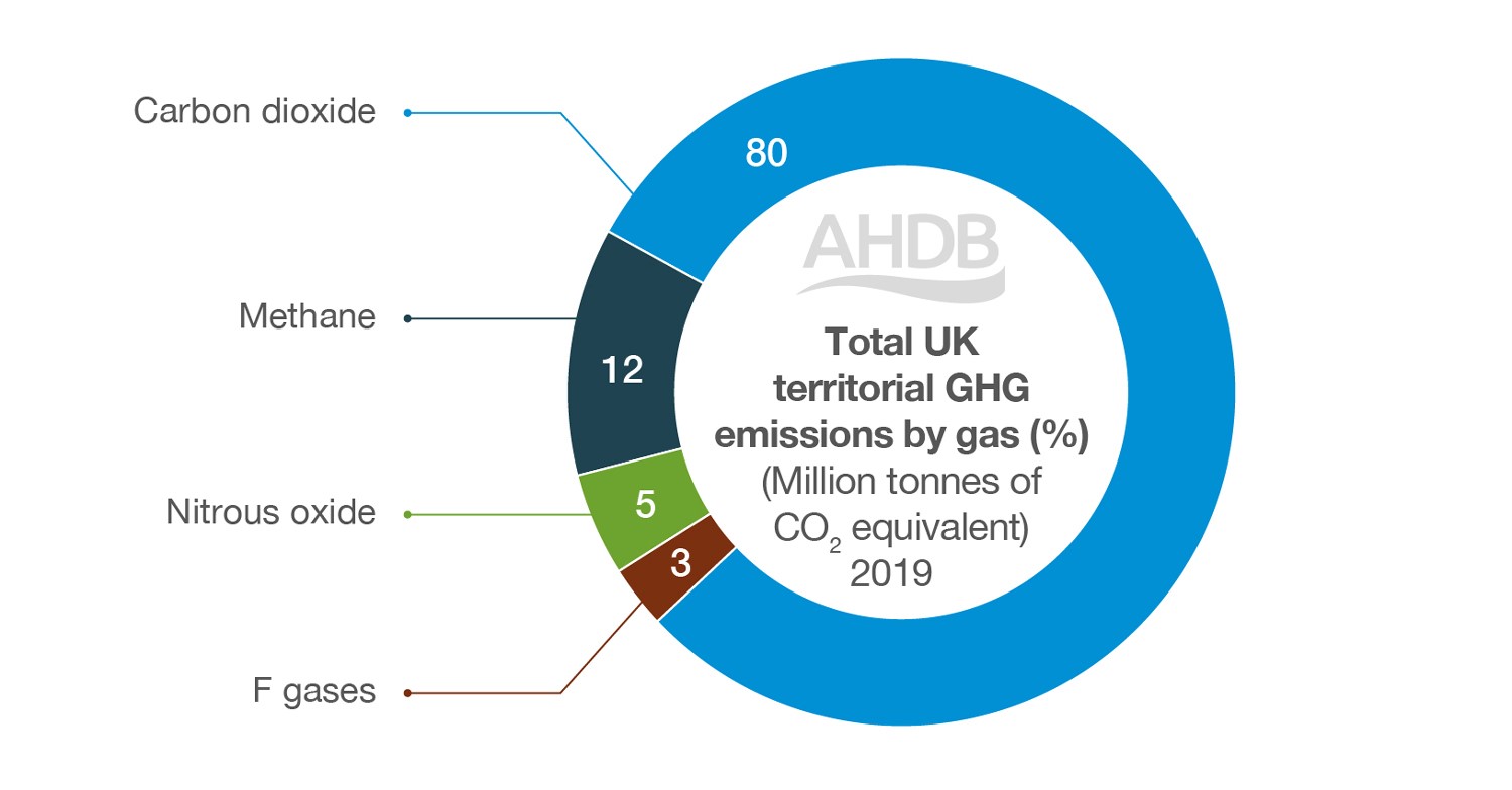 Pie chart to show the total UK territorial GHG emissions by gas. Copyright AHDB. 